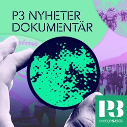 Sverigedemokraterna: Från ytterkanten till finrummen – P3 Nyheter Dokumentär