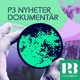 Gamlestadsmordet – P3 Nyheter Dokumentär