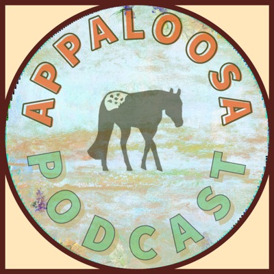 Appaloosa Appaloosa
