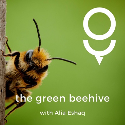 The Green Beehive
