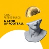 Saint Petersburg: A Land of Football artwork