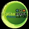SolarPunk Permaculture artwork