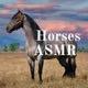 Horses ASMR 