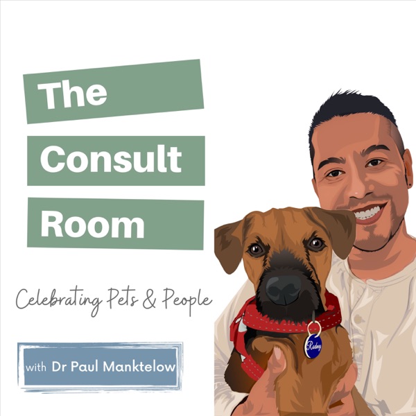 The Consult Room