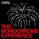 The Monochrome Experience