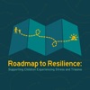 Roadmap to Resilience artwork