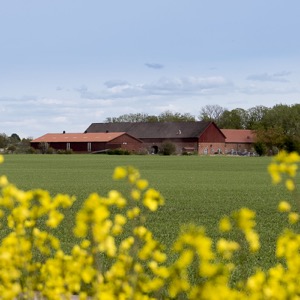 Jordnära - En podd från Hushållningssällskapet Halland