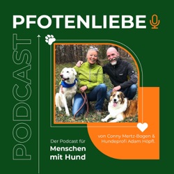 Talkrunde mit Alex: Er berichtet aus seinem Leben als Hundehalter und über Erfahrungen mit verschiedenen Hundeschulen.