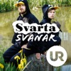 Svarta svanar - när historien byter riktning