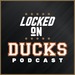 Could Lack Of Big Signings Haunt the Ducks?