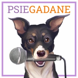 Pies na smyczy - co musisz wiedzieć, aby się nie zaplątać?