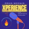 John McCain Xperience artwork