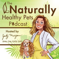EP 25: The Fungus Among Us:  How Mushrooms Can Help Our Pets with Joni Kamlet
