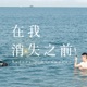 在我消失之前 Before I Disappear