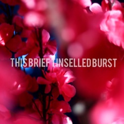 S1: This brief tinselled burst trailer