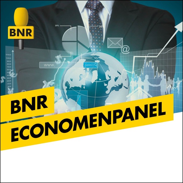 BNR Economenpanel | BNR
