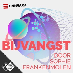 Bijvangst