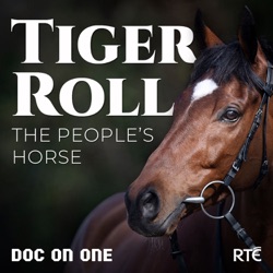 Introducing 'Tiger Roll: The People's Horse'