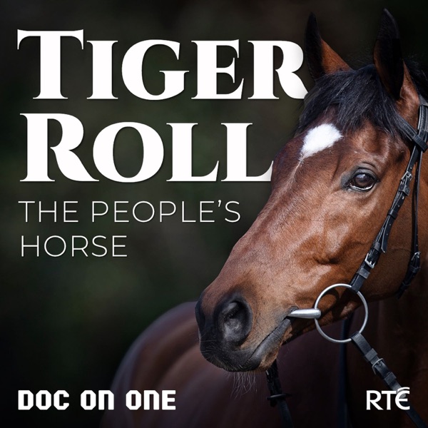 Tiger Roll: The People's Horse Artwork