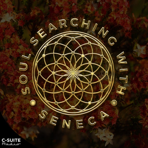 Soul Searching with Seneca