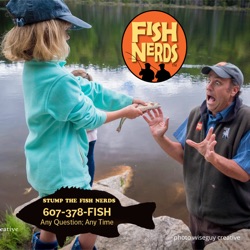 Blue Fish Radio Show Lake Trout Jigging Tips EP 218 – Fish Nerds