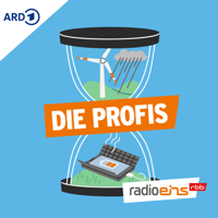 Die Profis podcast