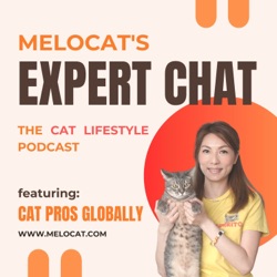 You've Been Lied To?! Rethink Things You Thought You Knew About Cat Stress And Socialization!