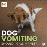 Dog Vomiting: Should I Call My Vet? | Dr. Nancy Reese