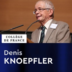 Epigraphie et histoire des cités grecques - Denis Knoepfler