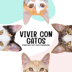 Ep. 12 - Todo sobre alimentación para gatos