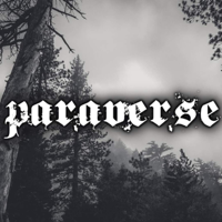 Paraverse Live! Malcolm Robinson Interview