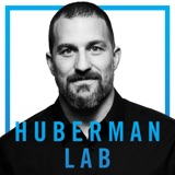 Image of Huberman Lab podcast