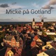 Micke på Gotland