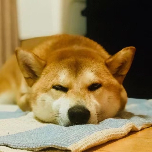 大卫翁