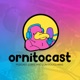 OrnitoJogo - Project Rainbow - Review