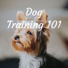 Dog Training 101 artwork