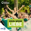 Grün-weiße Liebe – die Leidenschaft der Werder-Fans für ihren Verein!