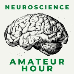 Episode 25: The Neuroscience of ... Neurons Firing?