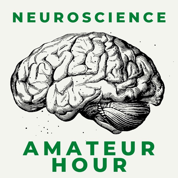 Neuroscience: Amateur Hour image