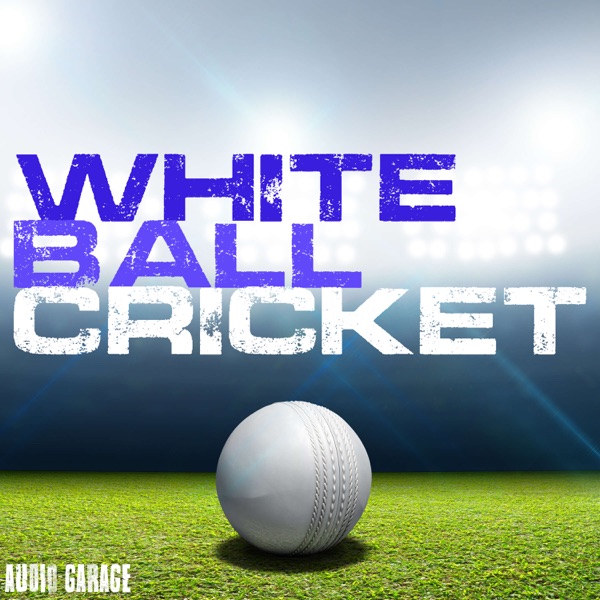 White Ball Cricket Artwork