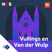 De Stemming van Vullings en Van der Wulp podcast