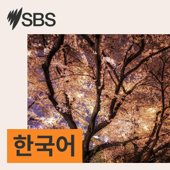SBS Korean - SBS 한국어 프로그램 - SBS