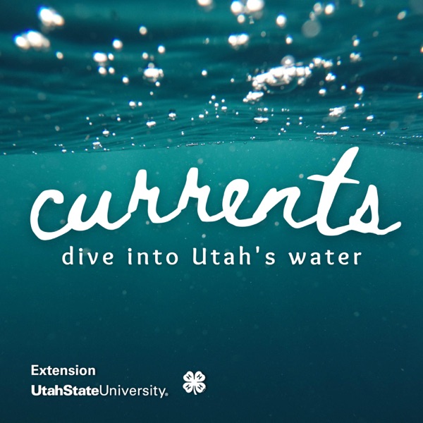 Currents: Dive into Utah's Water