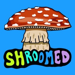 Shroomed - Ep. 20 - Mushroom Podcast Special Guest: Hormoz Rashidi, Comedian, Shrooms, Comedy Store, Hollywood, LSD, Trippy, Mushroom Stories