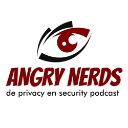 Angry Nerds 206 - Temu values your privacy  ☠