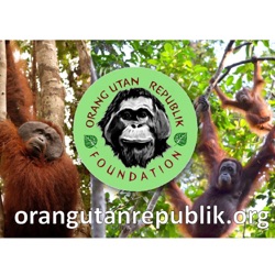 Ep3: Orangutan Habitats and Navigating the Rainforest