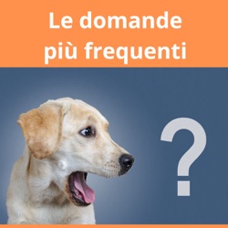 5_Il mio cane non riesce a stare da solo: l'ansia da separazione