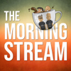 The Morning Stream - Scott Johnson