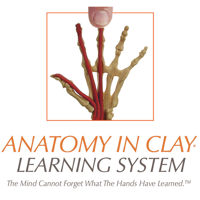 Leslie Samuel: Interactive Biology