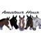Amateur Hour: An Equestrian Podcast